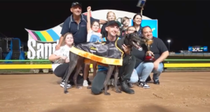 Explicit wins the 2024 Melbourne Cup at Sandown